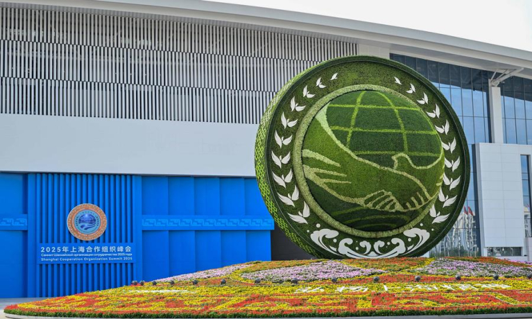 (وسائط متعددة) مقابلة: صحفي مصري: مبادرة الحوكمة العالمية تمثل 