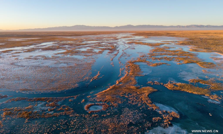 تقرير: ممارسات الصين تضخ زخما قويا في التنمية المستدامة العالمية