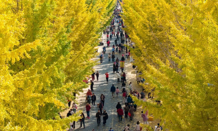 تقرير: حكمة الصين تلهم مستقبل التنمية المستدامة العالمية